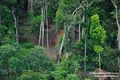 Tribus-aisladas-amazonas-4